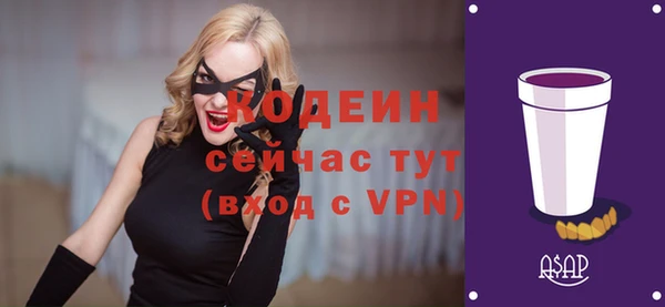 дживик Арсеньев
