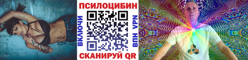 Галлюциногенные грибы Psilocybe  как найти   Красноперекопск 